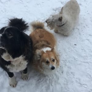 Spaiks Lote II Lote I Loreta Bizenājs Kafija