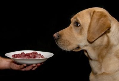 Suns neēd