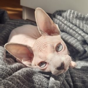 Luna