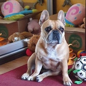 LILU