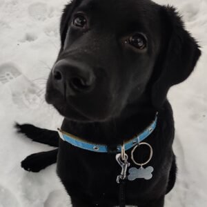 Benito