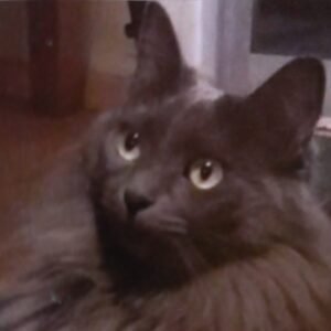 Carmela