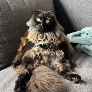 Sonja (Sofija)