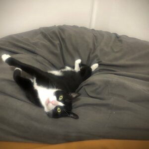 Tux