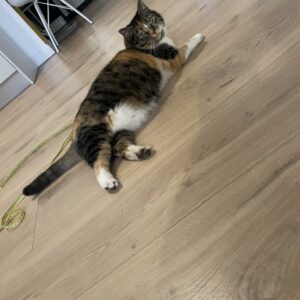 Mika