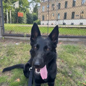 Greta